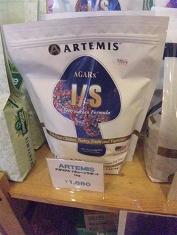 アーテミス