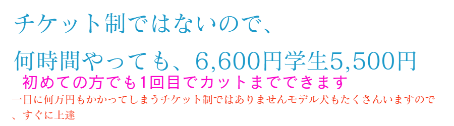 トリミングスクール