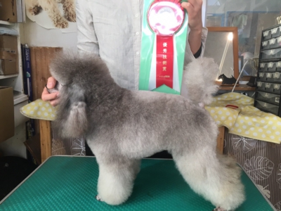 トリマー塾東京