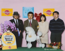 ミディアムプードル