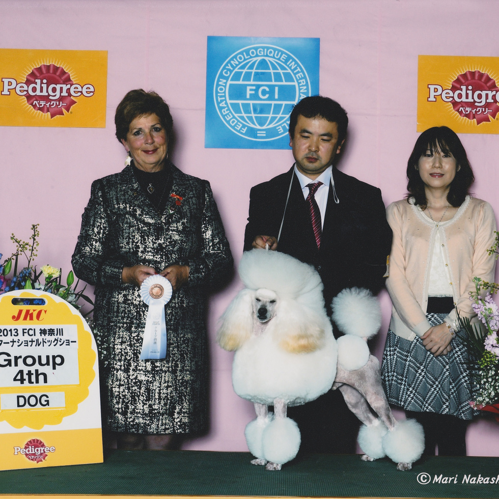 トリミングサロン足立区